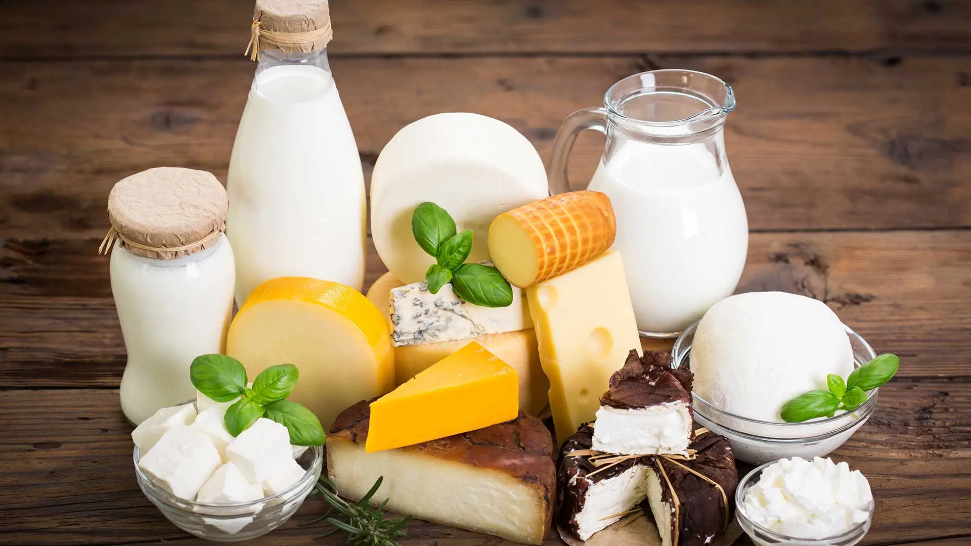 Scopri cosa succede davvero al tuo organismo dopo una cena ricca di latticini Scopri cosa succede davvero al tuo organismo dopo una cena ricca di latticini