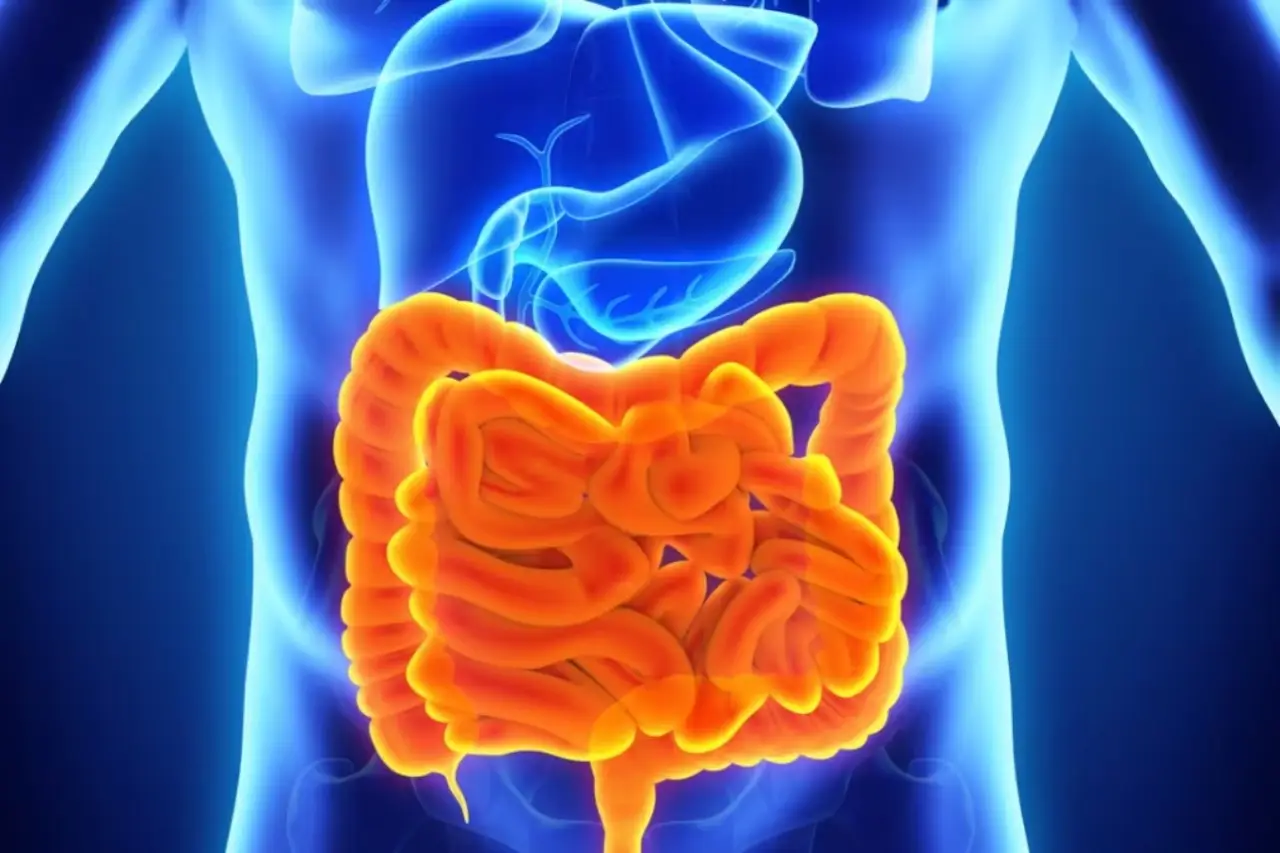 Un errore in cucina può alterare il benessere intestinale: correggilo in pochi minuti Un errore in cucina può alterare il benessere intestinale: correggilo in pochi minuti