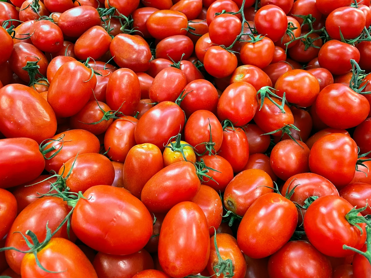 Conservi i pomodori in frigo? Scopri subito l’errore che rischia di rovinarli Conservi i pomodori in frigo? Scopri subito l’errore che rischia di rovinarli