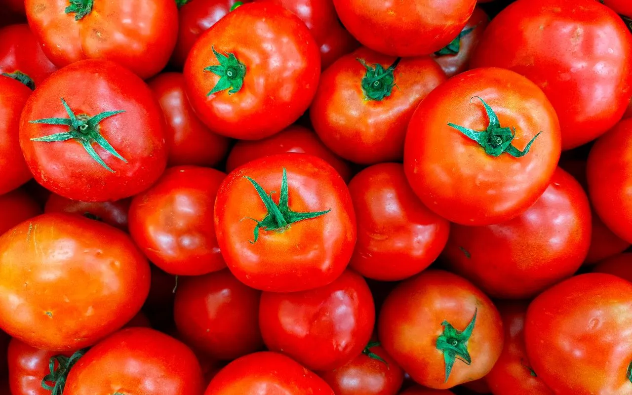 Conservi i pomodori in frigo? Scopri subito l’errore che rischia di rovinarli Conservi i pomodori in frigo? Scopri subito l’errore che rischia di rovinarli