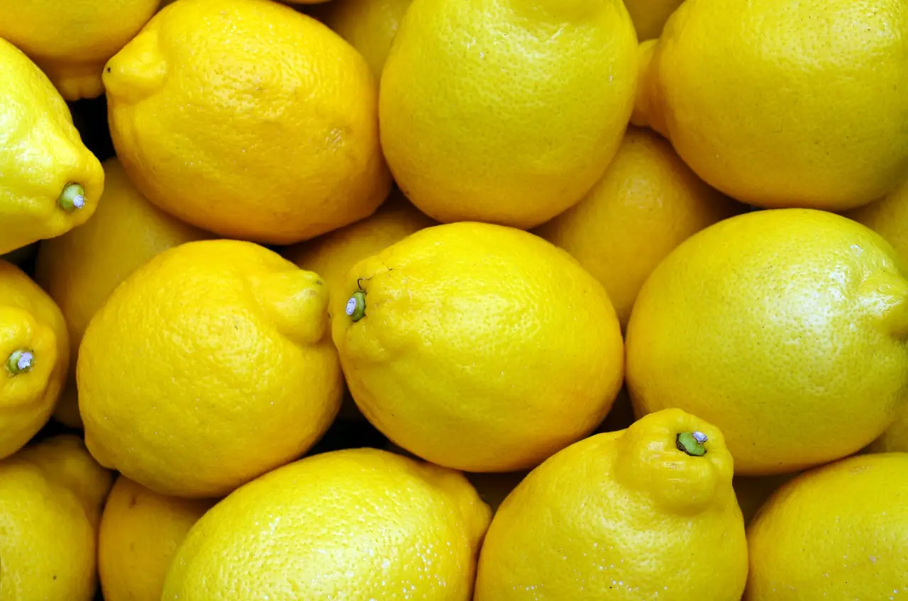 L’errore che svuota la resa dei tuoi limoni in dispensa e come evitarlo subito L’errore che svuota la resa dei tuoi limoni in dispensa e come evitarlo subito