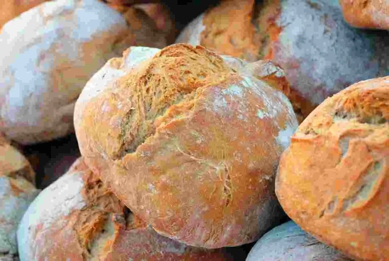 Evita la muffa sul pane: la soluzione che forse non hai mai considerato prima Evita la muffa sul pane: la soluzione che forse non hai mai considerato prima