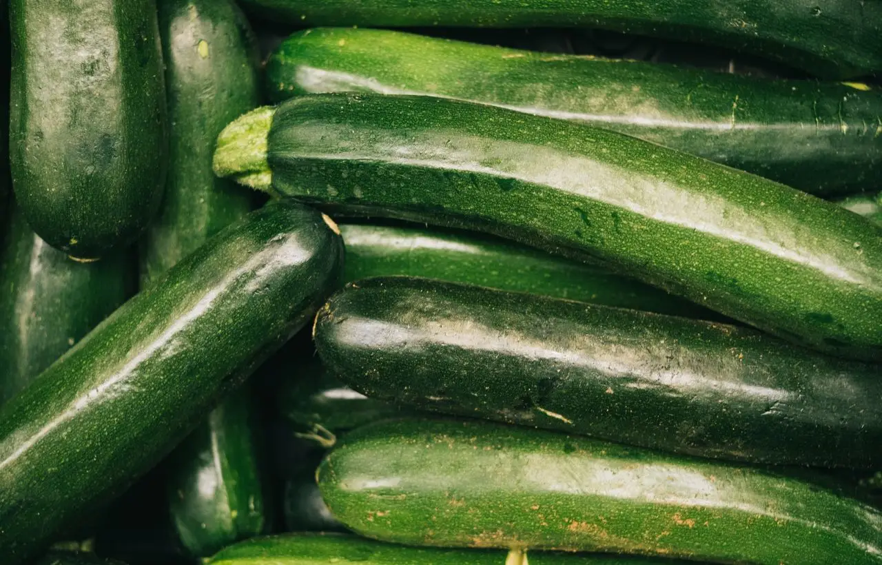 Bastano pochi minuti per salvare le zucchine dalla disidratazione: ecco come Bastano pochi minuti per salvare le zucchine dalla disidratazione: ecco come