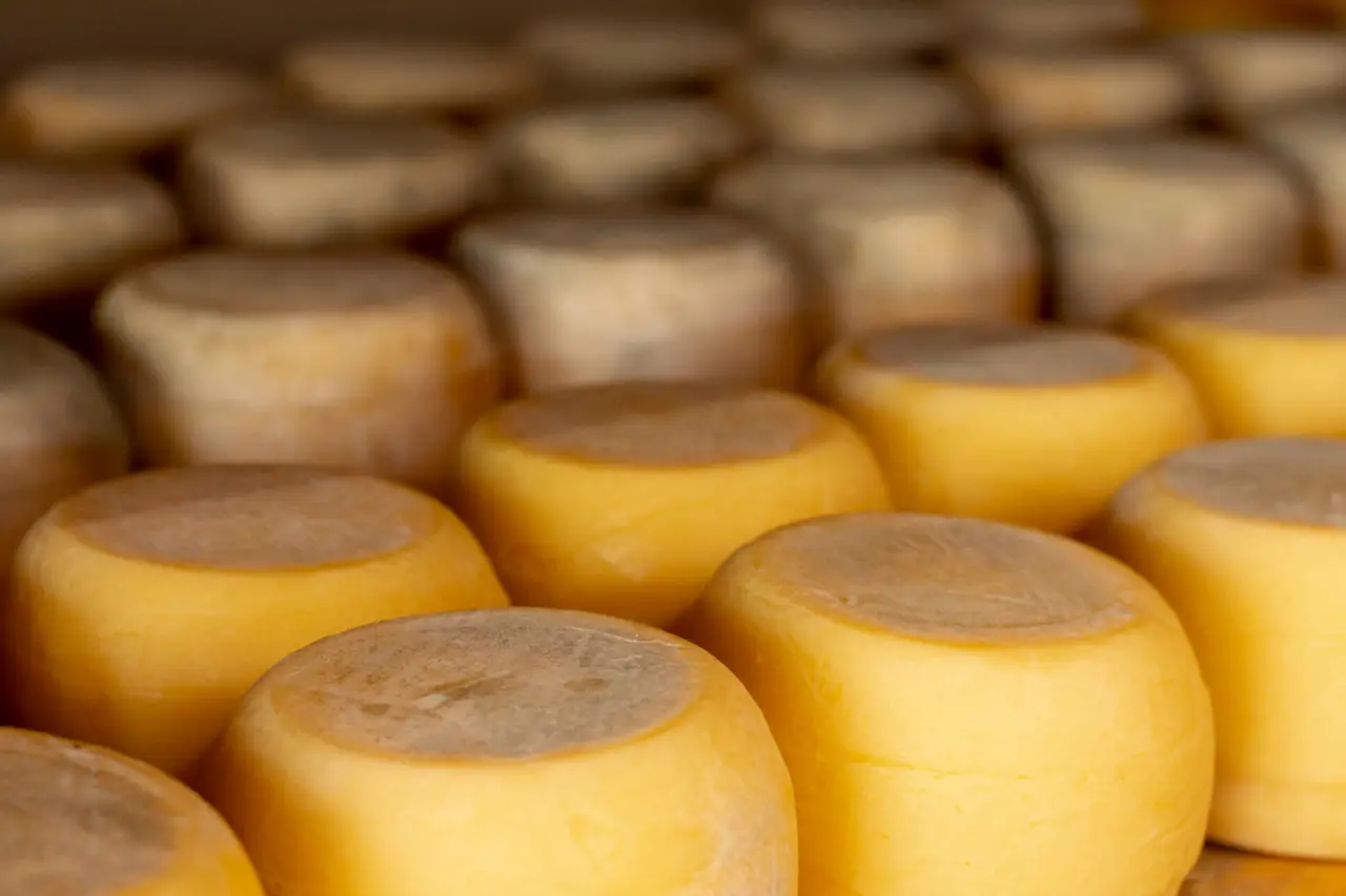 La scelta della carta per avvolgere i formaggi fa davvero la differenza: ecco quale usare La scelta della carta per avvolgere i formaggi fa davvero la differenza: ecco quale usare