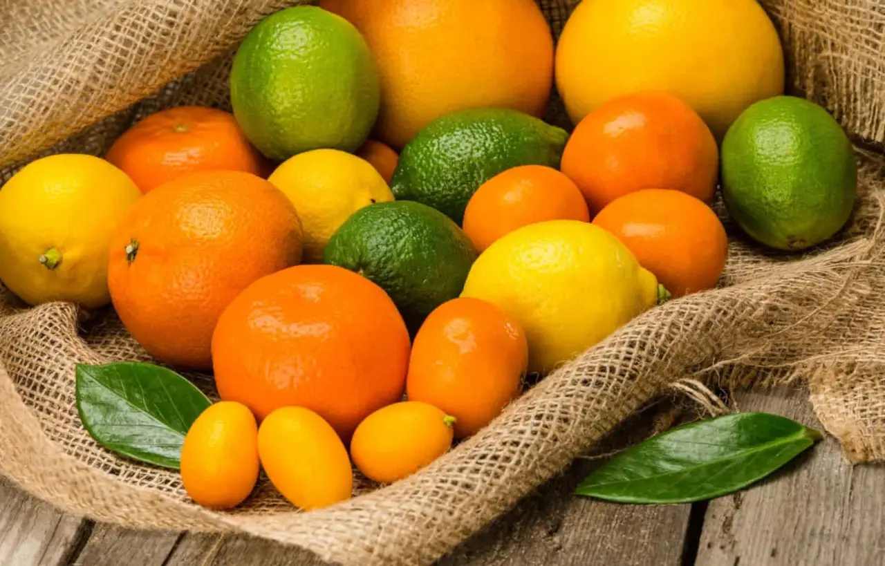 Scopri perché mescolare agrumi diversi in frigo può danneggiare il sapore di tutti