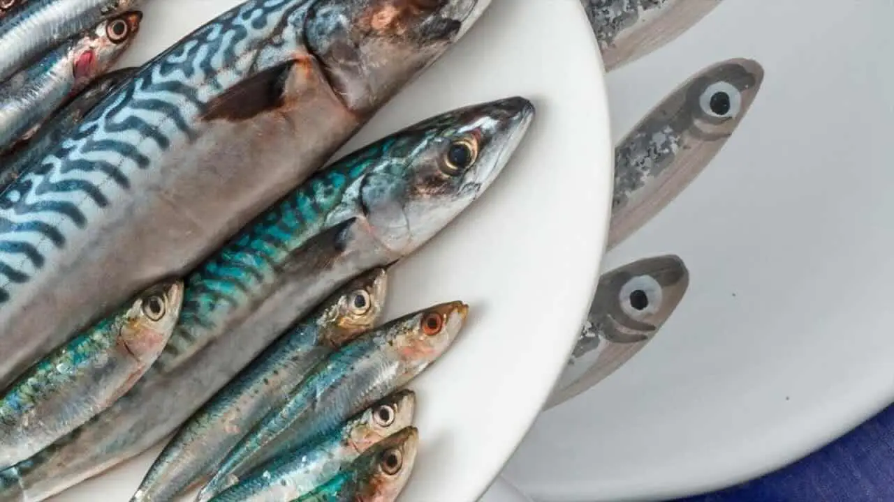Esiste un errore comune nella cottura del pesce al vapore che pochi correggono Esiste un errore comune nella cottura del pesce al vapore che pochi correggono
