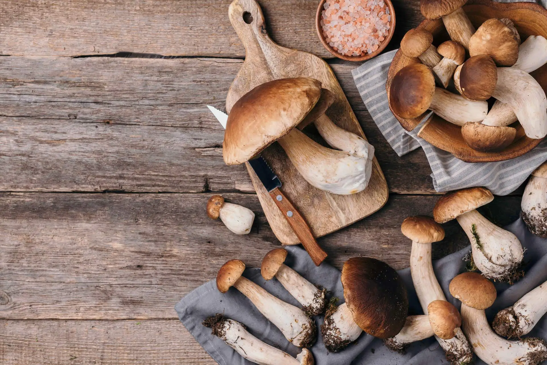 L’asciugatura sbagliata dei funghi freschi può causare muffe: il metodo giusto