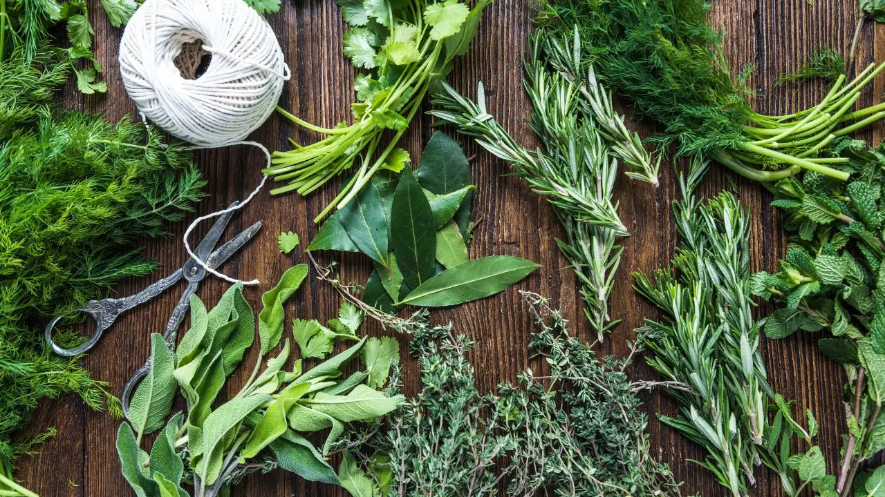 Un’erba aromatica facile da coltivare che profuma balconi e resiste al caldo Un’erba aromatica facile da coltivare che profuma balconi e resiste al caldo