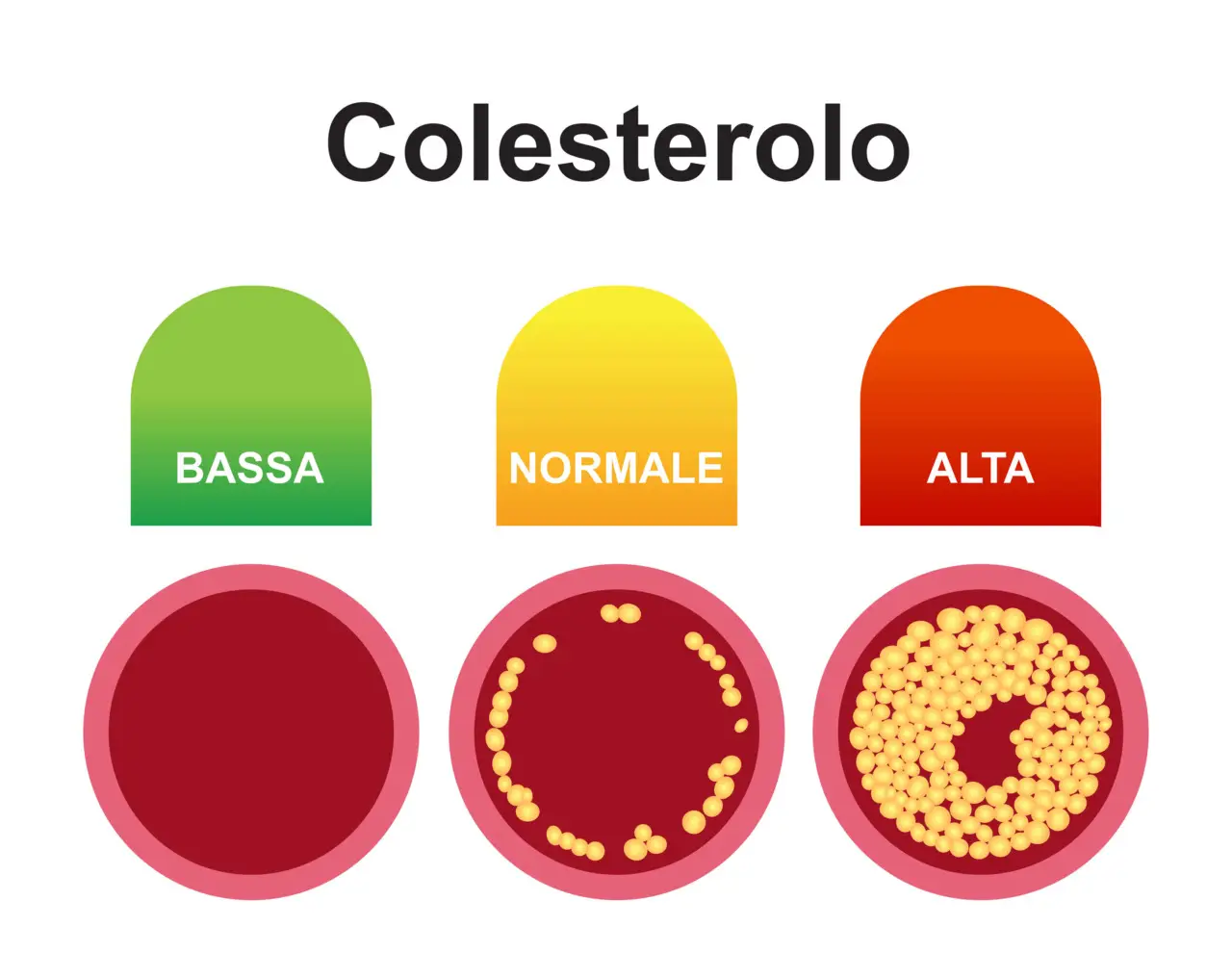 Colesterolo alto? Il metodo naturale per abbassarlo in 7 giorni Colesterolo alto? Il metodo naturale per abbassarlo in 7 giorni
