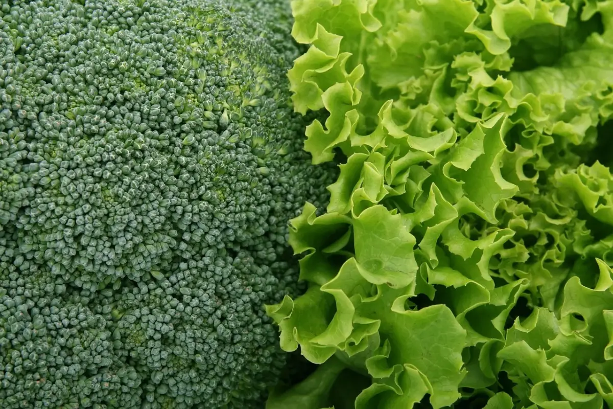 L’insalata gonfia solo se usi questi 2 ingredienti: ecco quali sono L’insalata gonfia solo se usi questi 2 ingredienti: ecco quali sono