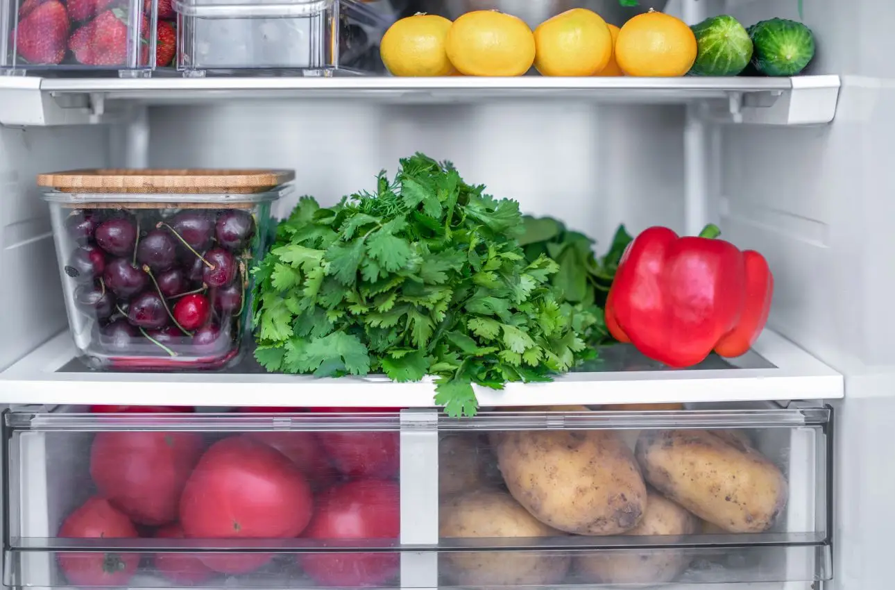 Sacchetti d’insalata e umidità in frigo: ecco quale elemento interviene sulla freschezza Sacchetti d’insalata e umidità in frigo: ecco quale elemento interviene sulla freschezza