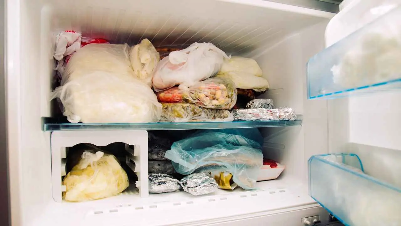 Sacchetti d’insalata e umidità in frigo: ecco quale elemento interviene sulla freschezza Sacchetti d’insalata e umidità in frigo: ecco quale elemento interviene sulla freschezza