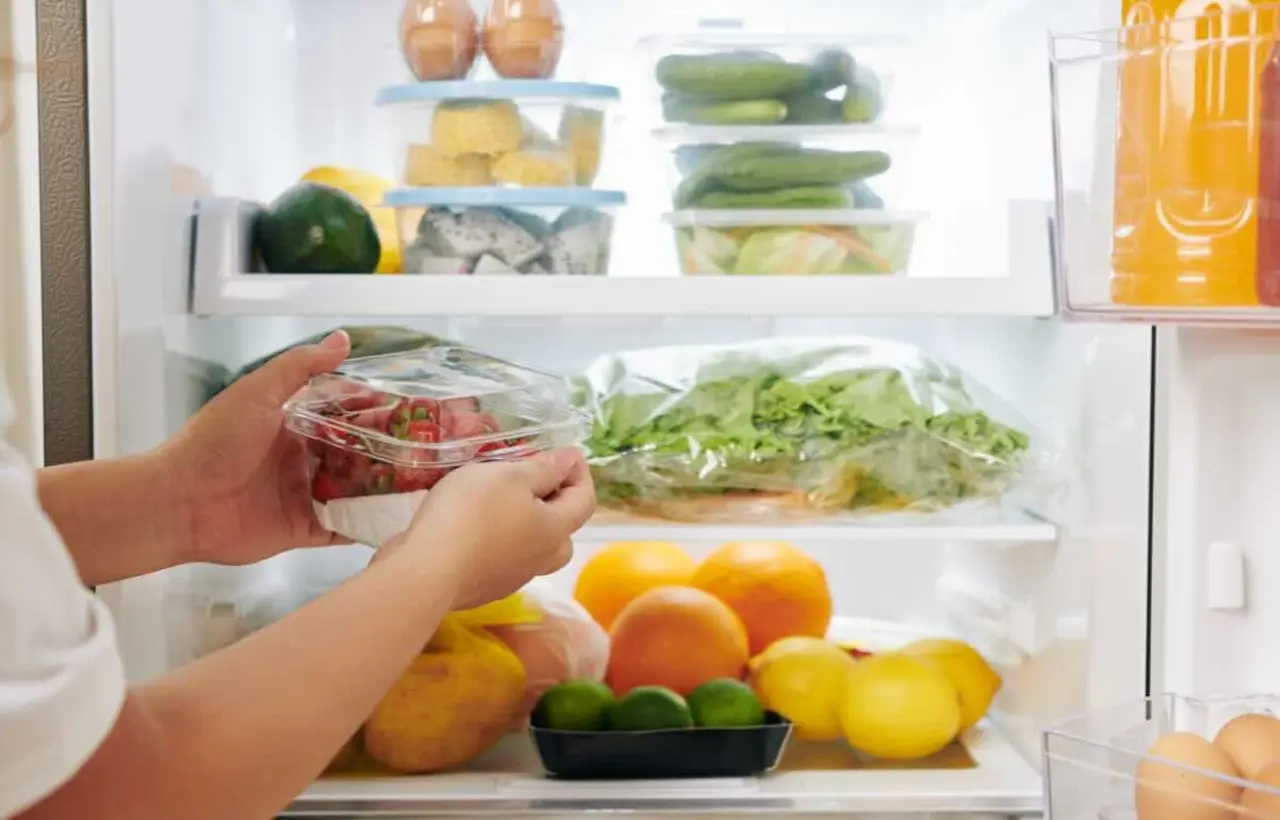 Sacchetti d’insalata e umidità in frigo: ecco quale elemento interviene sulla freschezza Sacchetti d’insalata e umidità in frigo: ecco quale elemento interviene sulla freschezza