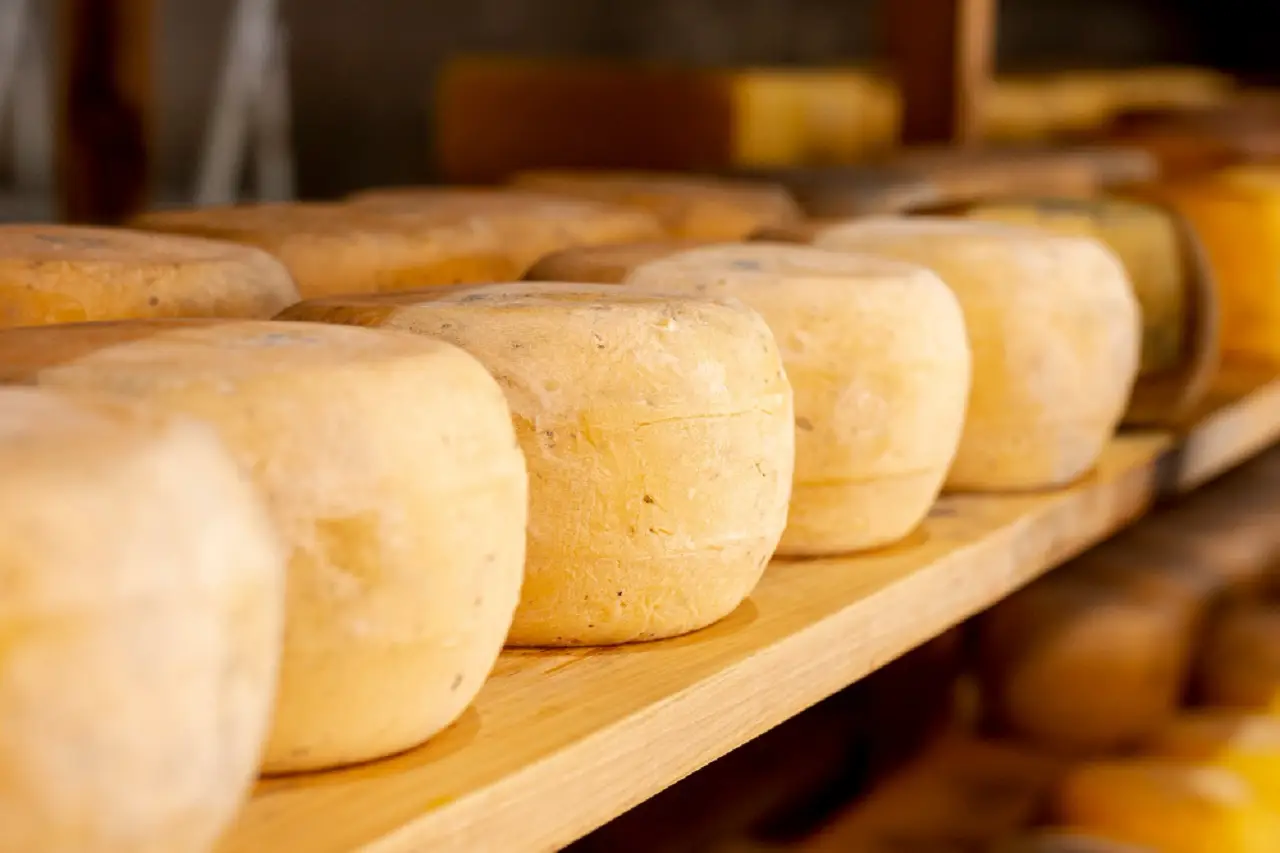 Formaggio stagionato in dispensa: il metodo dei nutrizionisti per limitarne il gonfiore Formaggio stagionato in dispensa: il metodo dei nutrizionisti per limitarne il gonfiore