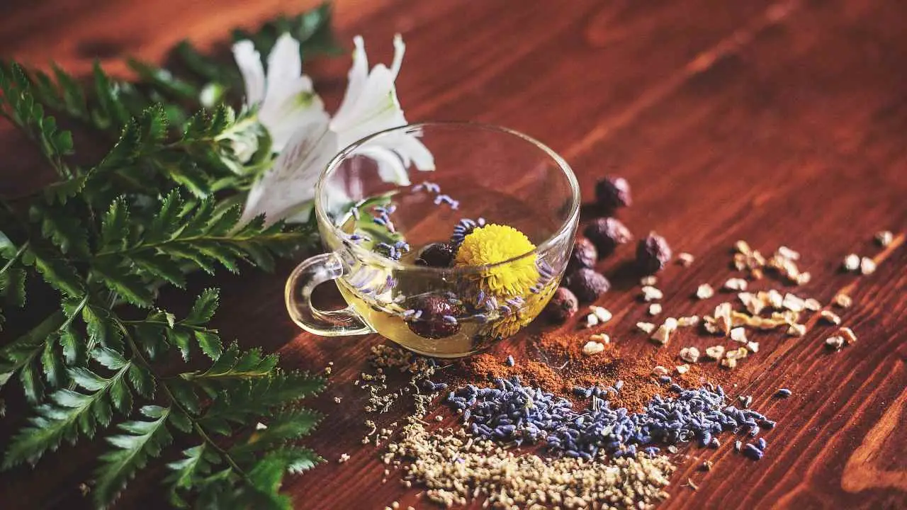 Bevi spesso tisane prima di dormire? Scopri a quali sintomi prestare attenzione Bevi spesso tisane prima di dormire? Scopri a quali sintomi prestare attenzione