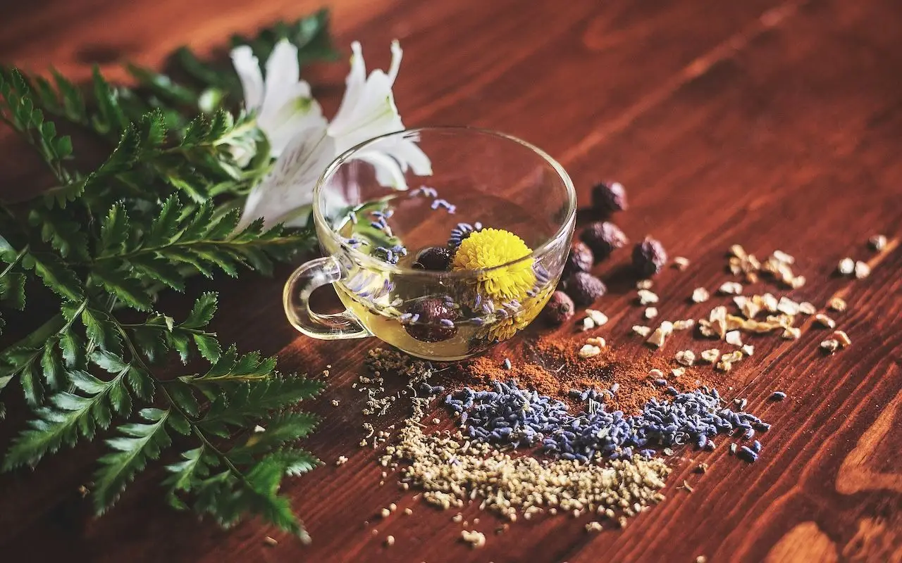Bevi spesso tisane prima di dormire? Scopri a quali sintomi prestare attenzione Bevi spesso tisane prima di dormire? Scopri a quali sintomi prestare attenzione