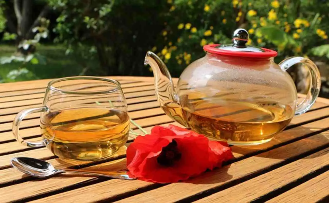 Scopri la tisana rinfrescante che depura il fegato e migliora la digestione estiva Scopri la tisana rinfrescante che depura il fegato e migliora la digestione estiva