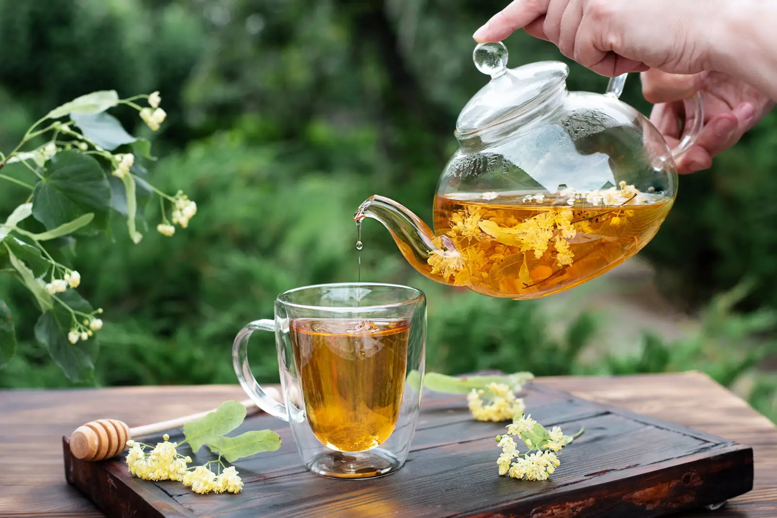 Bevande naturali: l'infuso estivo che riduce il colesterolo in modo efficace Bevande naturali: l'infuso estivo che riduce il colesterolo in modo efficace