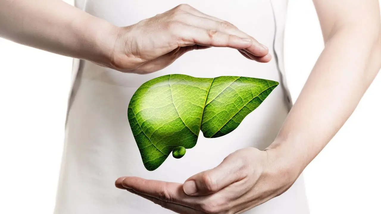 Occhio a questa bevanda naturale: protegge il fegato dopo i pasti abbondanti Occhio a questa bevanda naturale: protegge il fegato dopo i pasti abbondanti