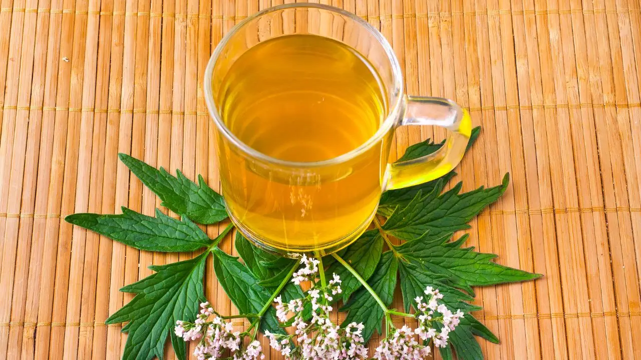 Scopri l’infuso naturale che sostiene la memoria e migliora la concentrazione Scopri l’infuso naturale che sostiene la memoria e migliora la concentrazione