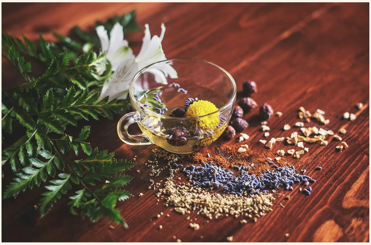 Scopri l’infuso naturale che sostiene la memoria e migliora la concentrazione Scopri l’infuso naturale che sostiene la memoria e migliora la concentrazione